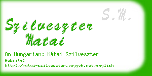 szilveszter matai business card